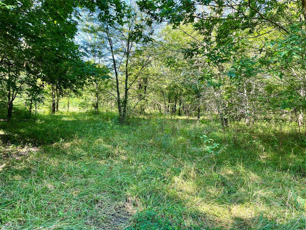 Tbd Bethel-Cannon Road Van Alstyne, TX 75495 - Photo 11 of 25 a view of a lush green space