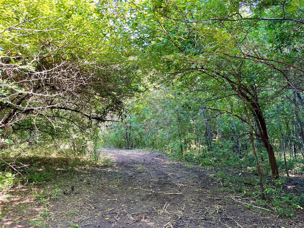 Tbd Bethel-Cannon Road Van Alstyne, TX 75495 - Photo 16 of 25 a view of a forest with trees