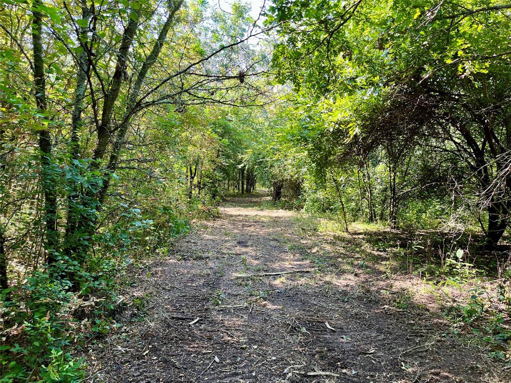 Tbd Bethel-Cannon Road Van Alstyne, TX 75495 - Photo 18 of 25 a view of outdoor space and yard