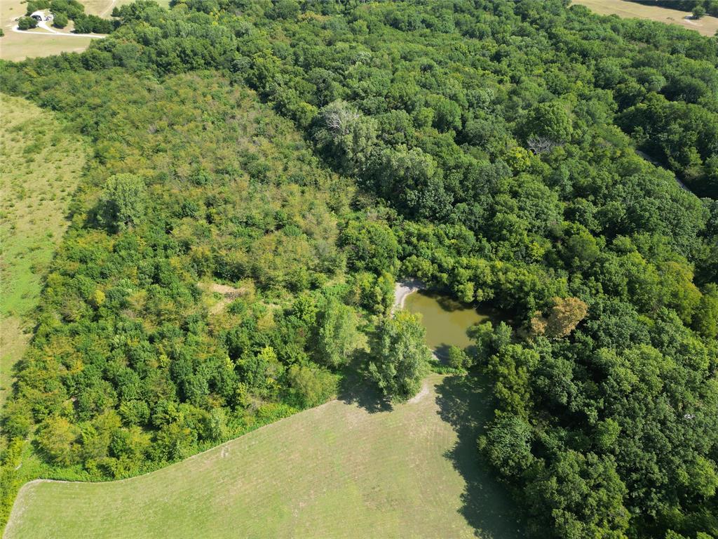 Tbd Bethel-Cannon Road Van Alstyne, TX 75495 - Photo 19 of 25 a view of a forest that has a tree