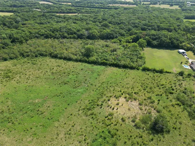 a view of a big yard with large trees and plants