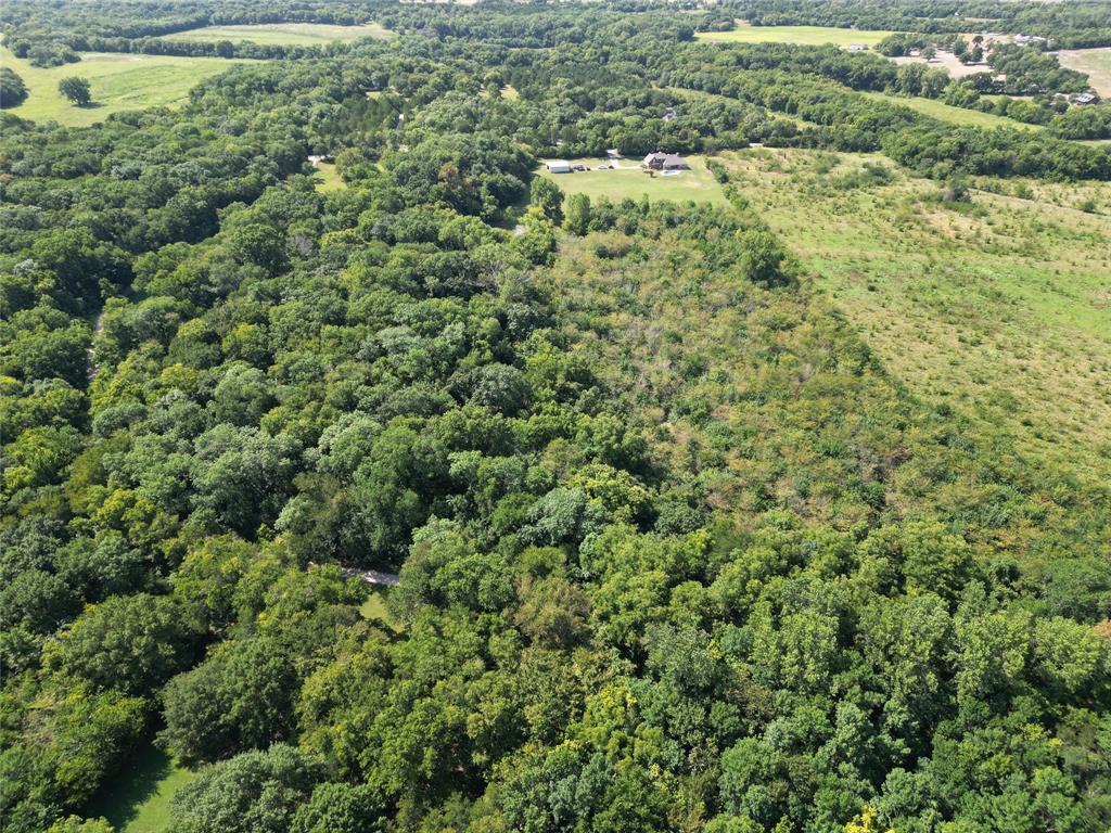 Tbd Bethel-Cannon Road Van Alstyne, TX 75495 - Photo 22 of 25 with view of a forest with a street