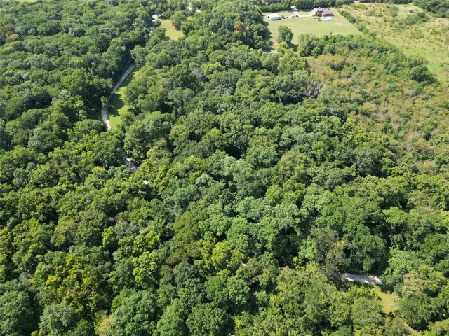 a view of a lush green forest with a houses