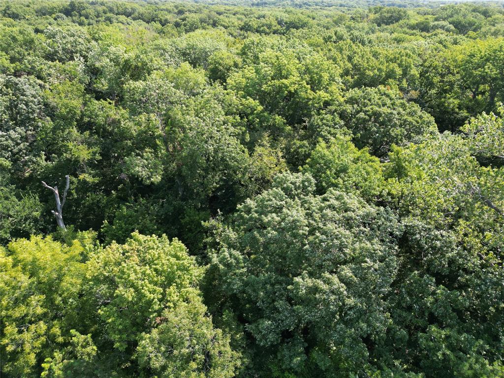 Tbd Bethel-Cannon Road Van Alstyne, TX 75495 - Photo 25 of 25 an aerial view of a house with a yard