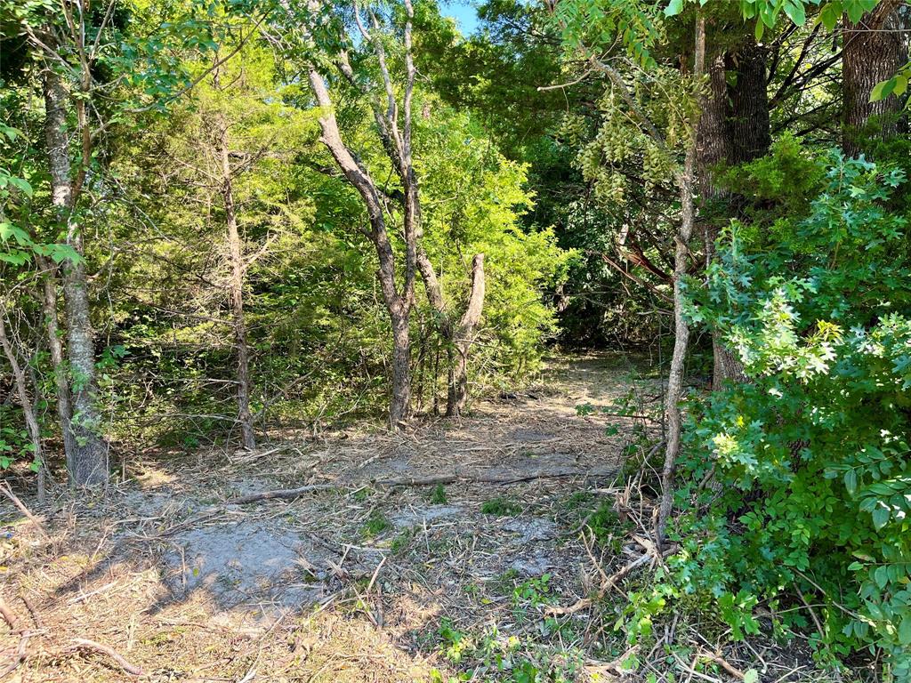 Tbd Bethel-Cannon Road Van Alstyne, TX 75495 - Photo 5 of 25 a view of a yard
