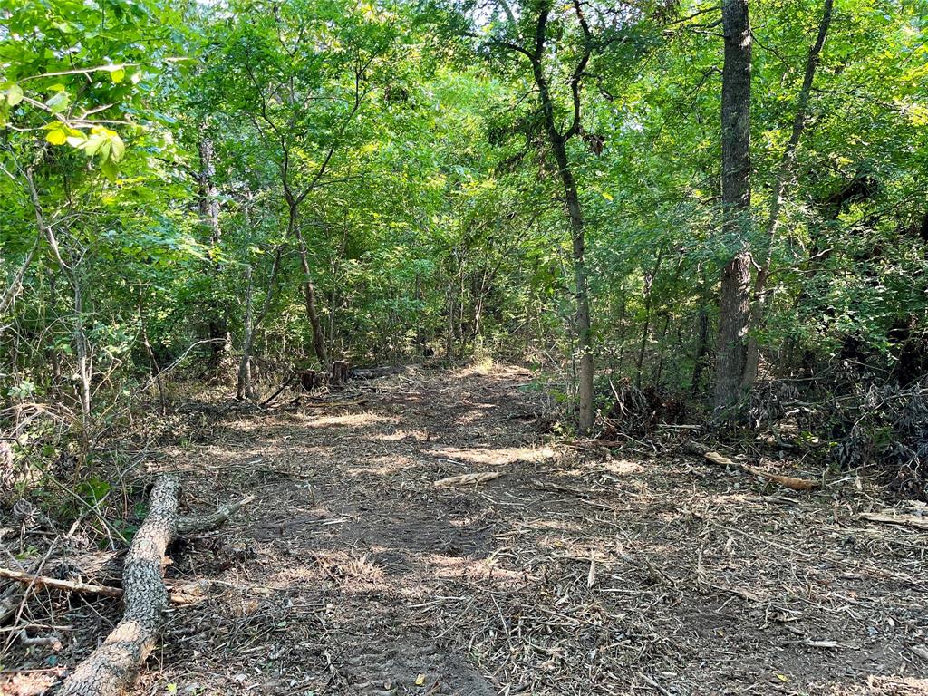 Tbd Bethel-Cannon Road Van Alstyne, TX 75495 - Photo 10 of 25 a view of outdoor space and trees