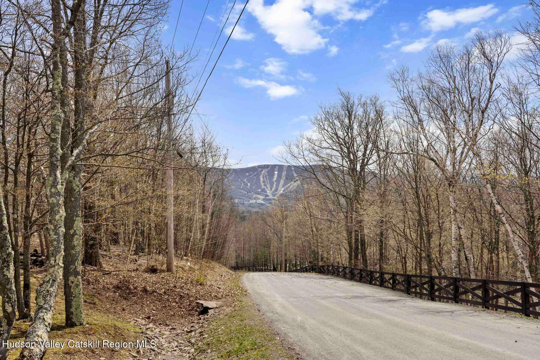 78 Buckskin Loop Windham, NY 12496 - Photo 94 of 97 photo_online_082