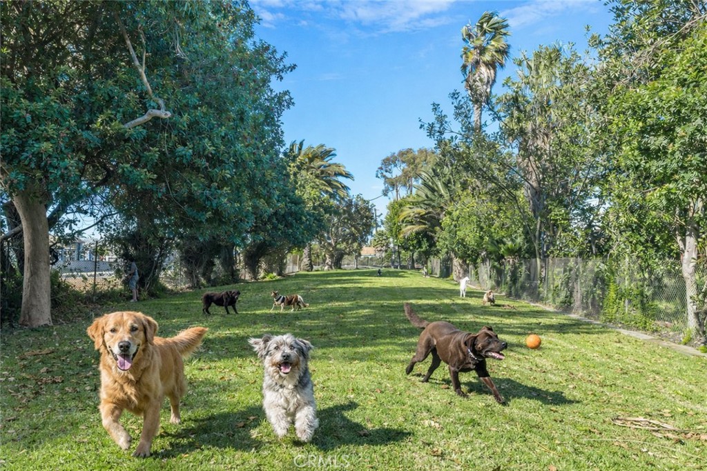 4482 Shorebird Street Huntington Beach, CA 92649 - Photo 53 of 55 Community Dog Park