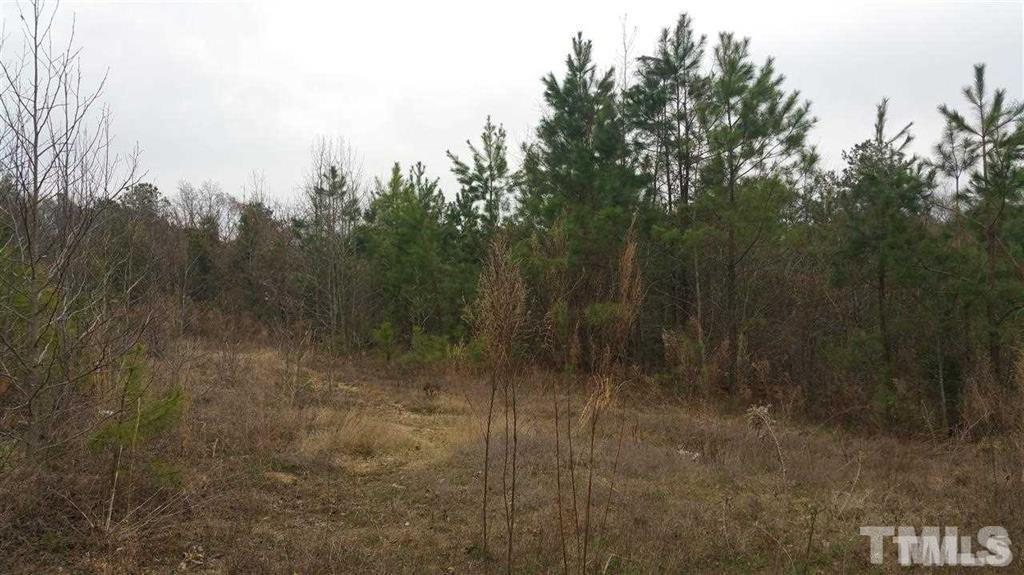 2991 Creech Road Raleigh, NC 27610 - Photo 1 of 4 a view of a forest