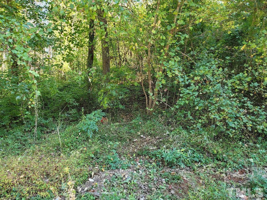 2991 Creech Road Raleigh, NC 27610 - Photo 3 of 4 a view of a lush green forest
