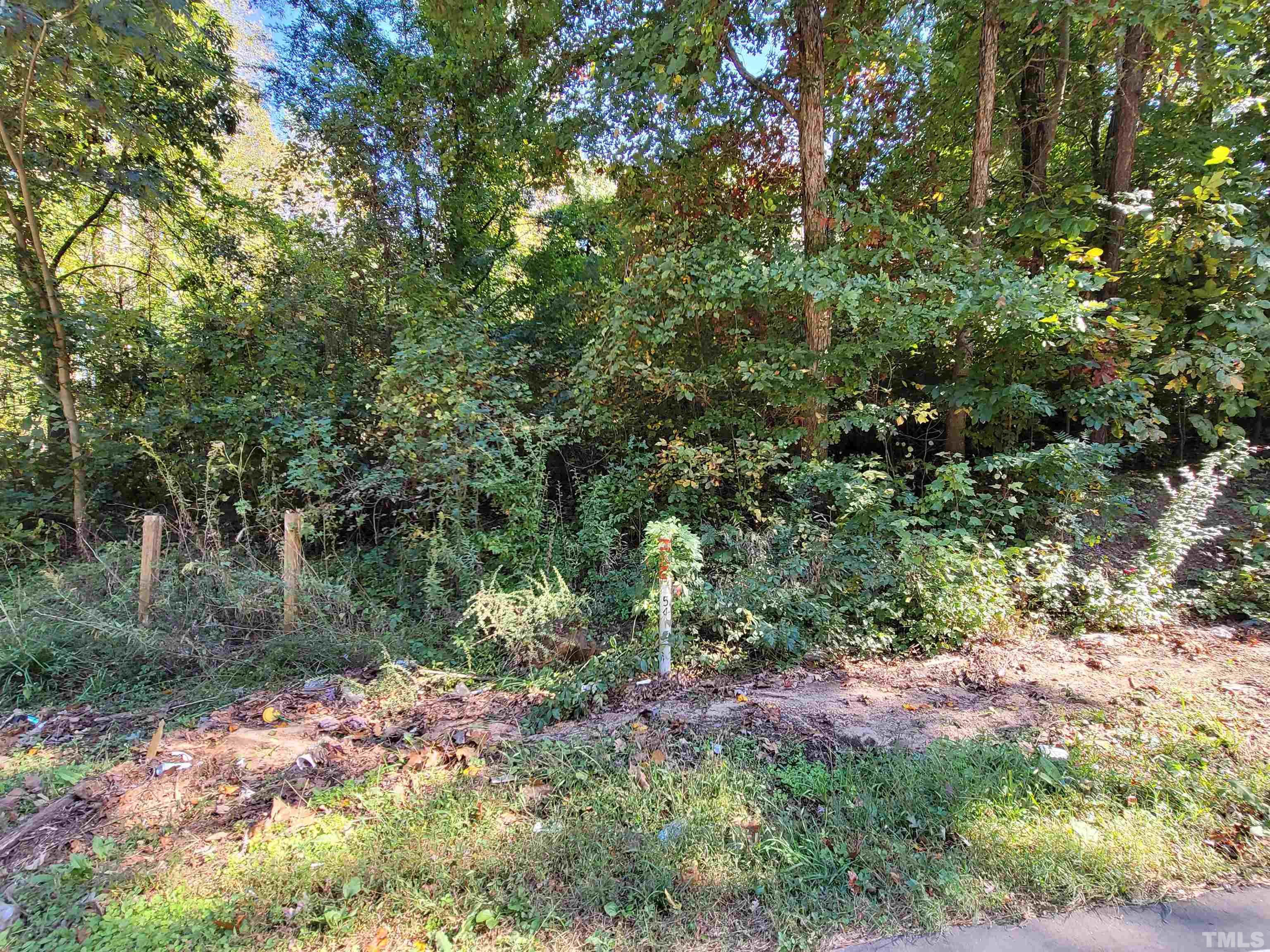 2991 Creech Road Raleigh, NC 27610 - Photo 4 of 4 a view of a yard with plants and large trees