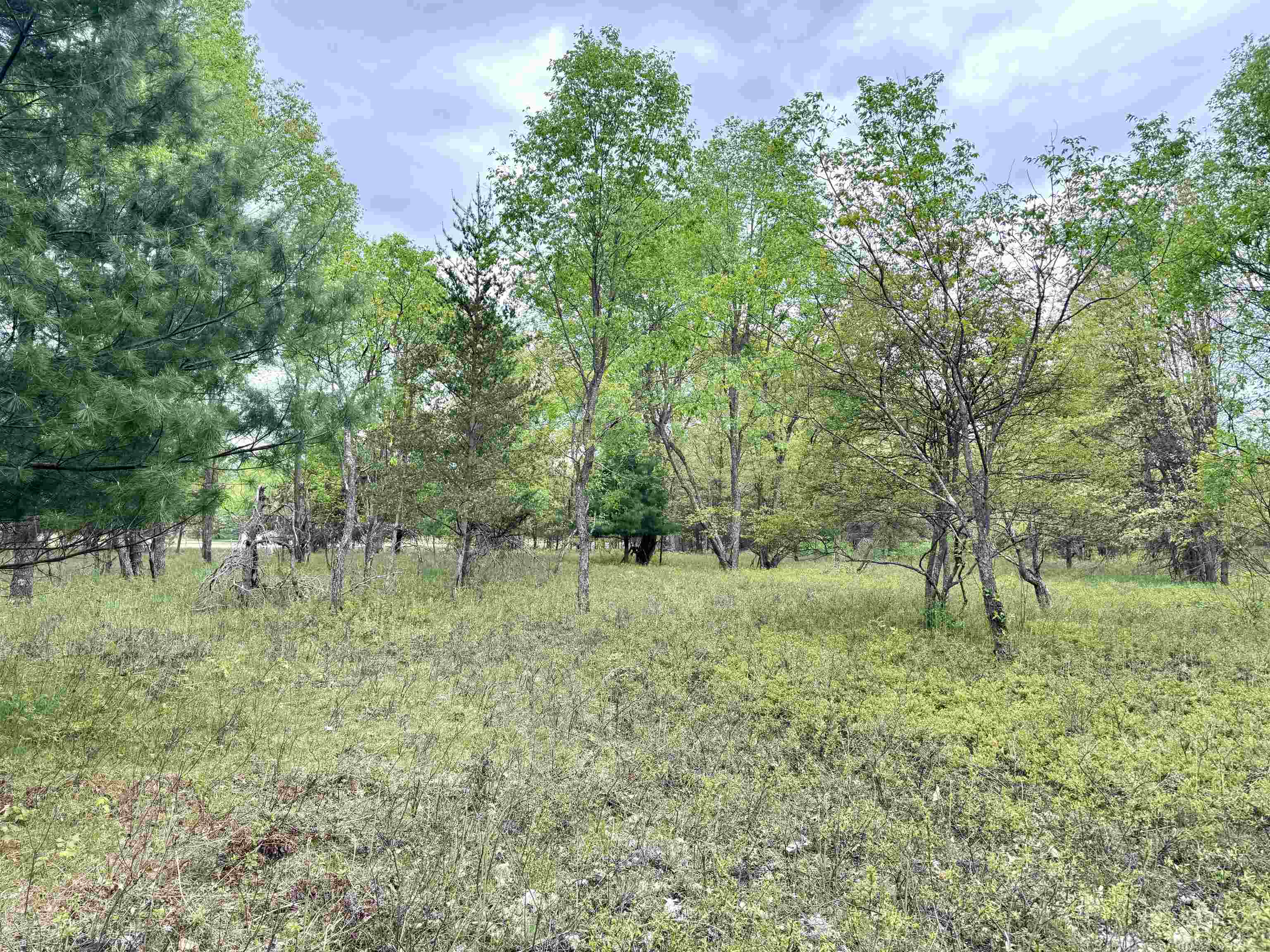 Parcel D West Rosted Road Lake City, MI 49651 - Photo 8 of 18
