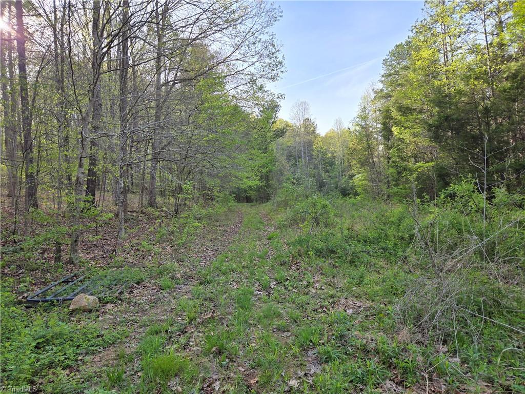 0 Hoover Hill Road Asheboro, NC 27205 - Photo 8 of 29