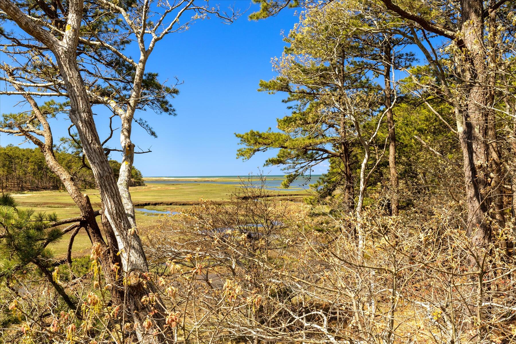 260 Blue Heron Road Wellfleet, MA 02667 - Photo 54 of 63 010-MG_5576-r