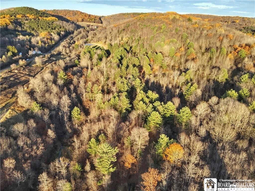 8 Co Road Friendship, NY 14739 - Photo 19 of 25