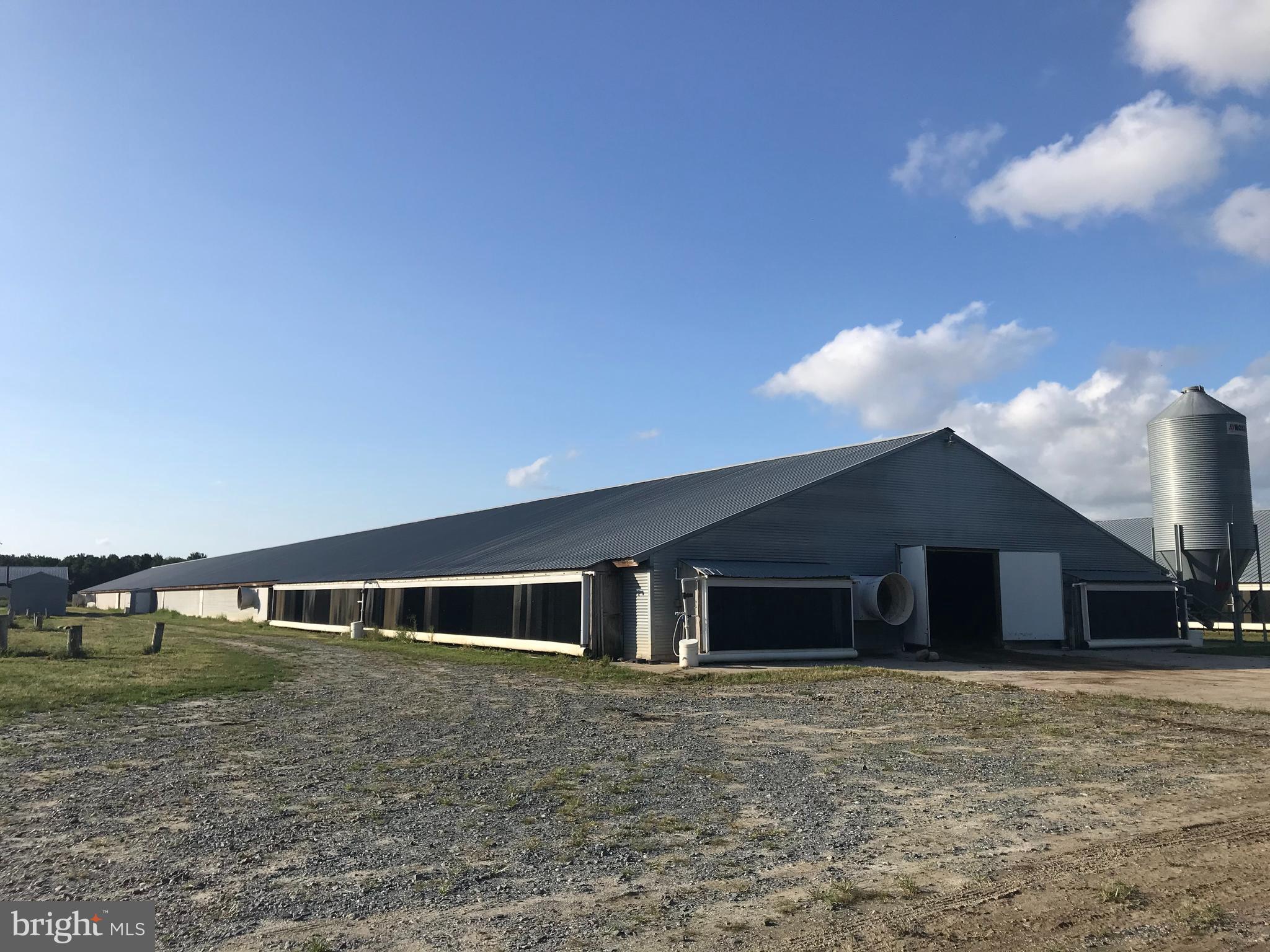31818 West Post Office Road Princess Anne, MD 21853 - Photo 11 of 42