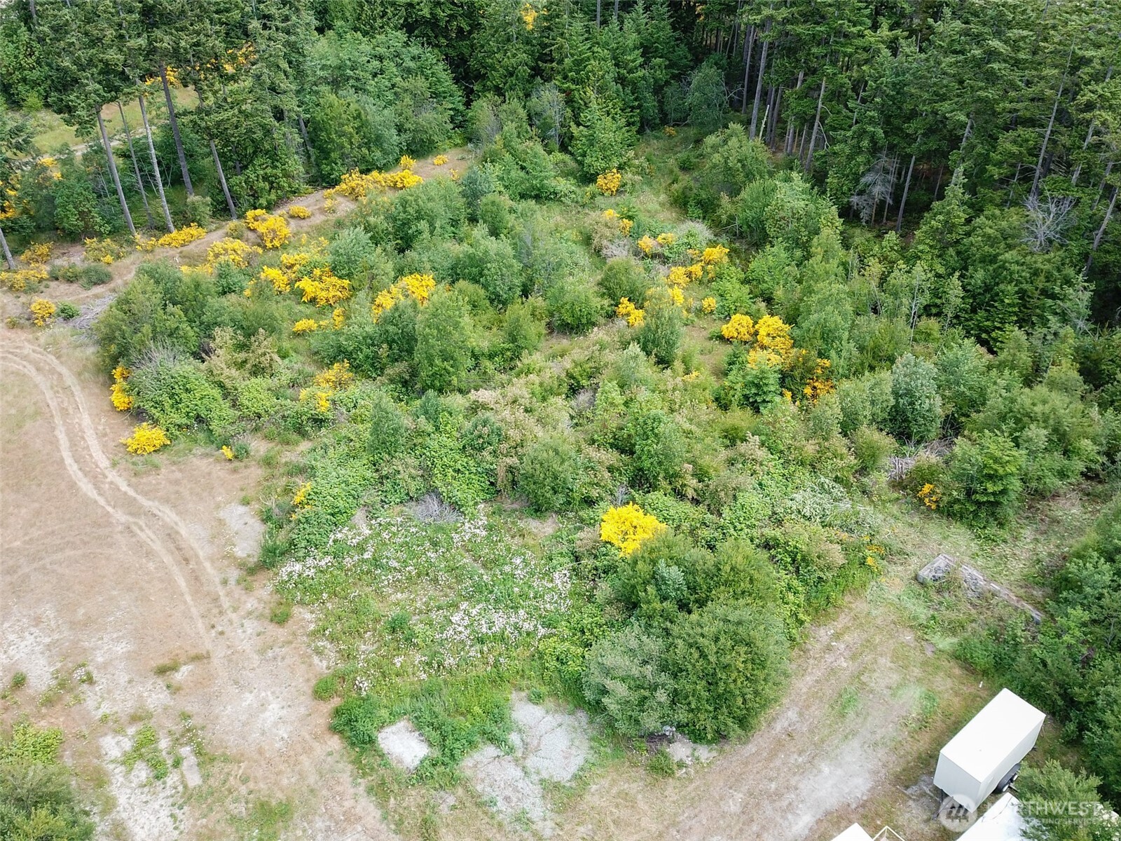 -xxx Goldie Road, Unit 2 Oak Harbor, WA 98277 - Photo 2 of 7