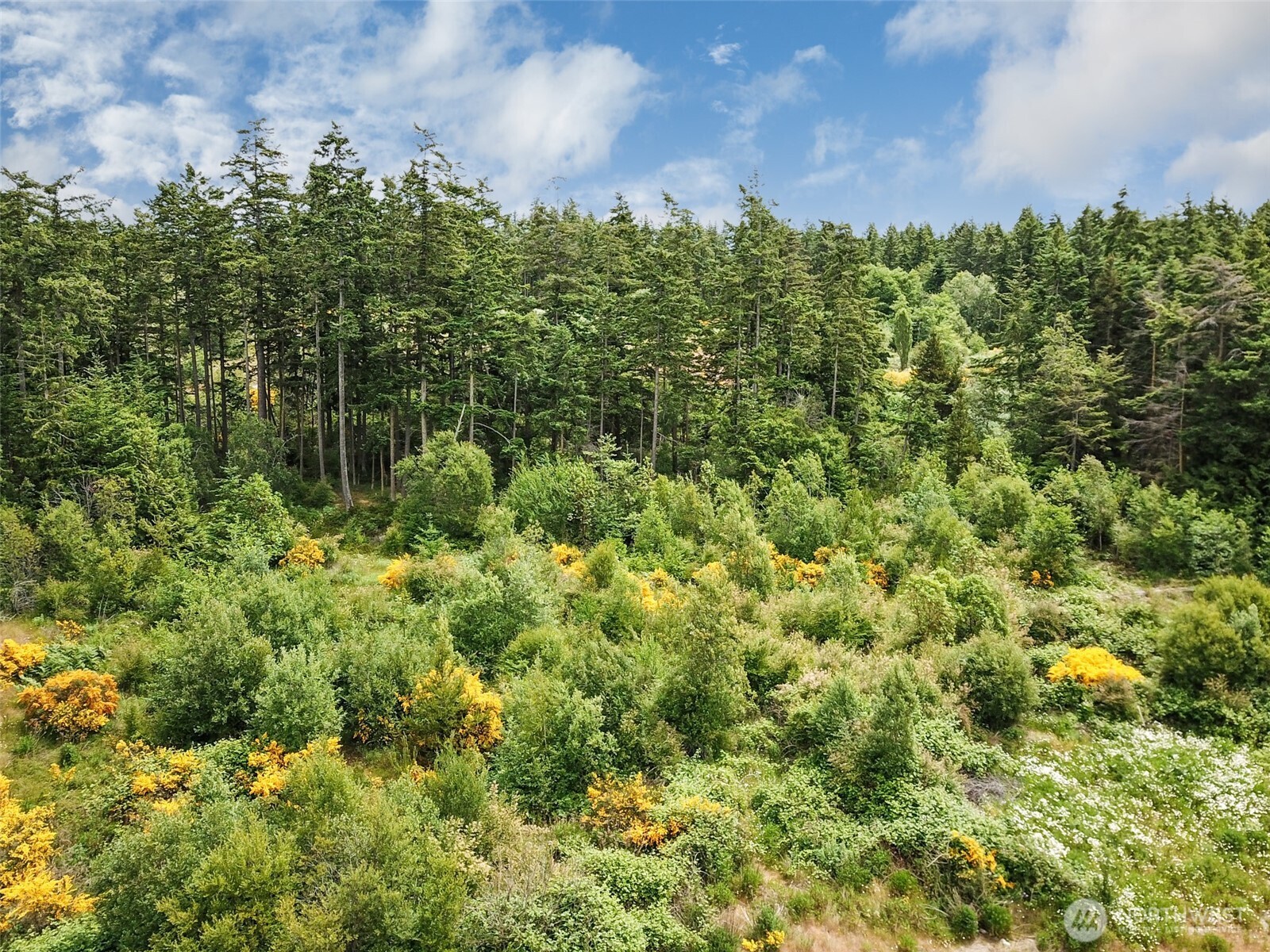 -xxx Goldie Road, Unit 2 Oak Harbor, WA 98277 - Photo 3 of 7