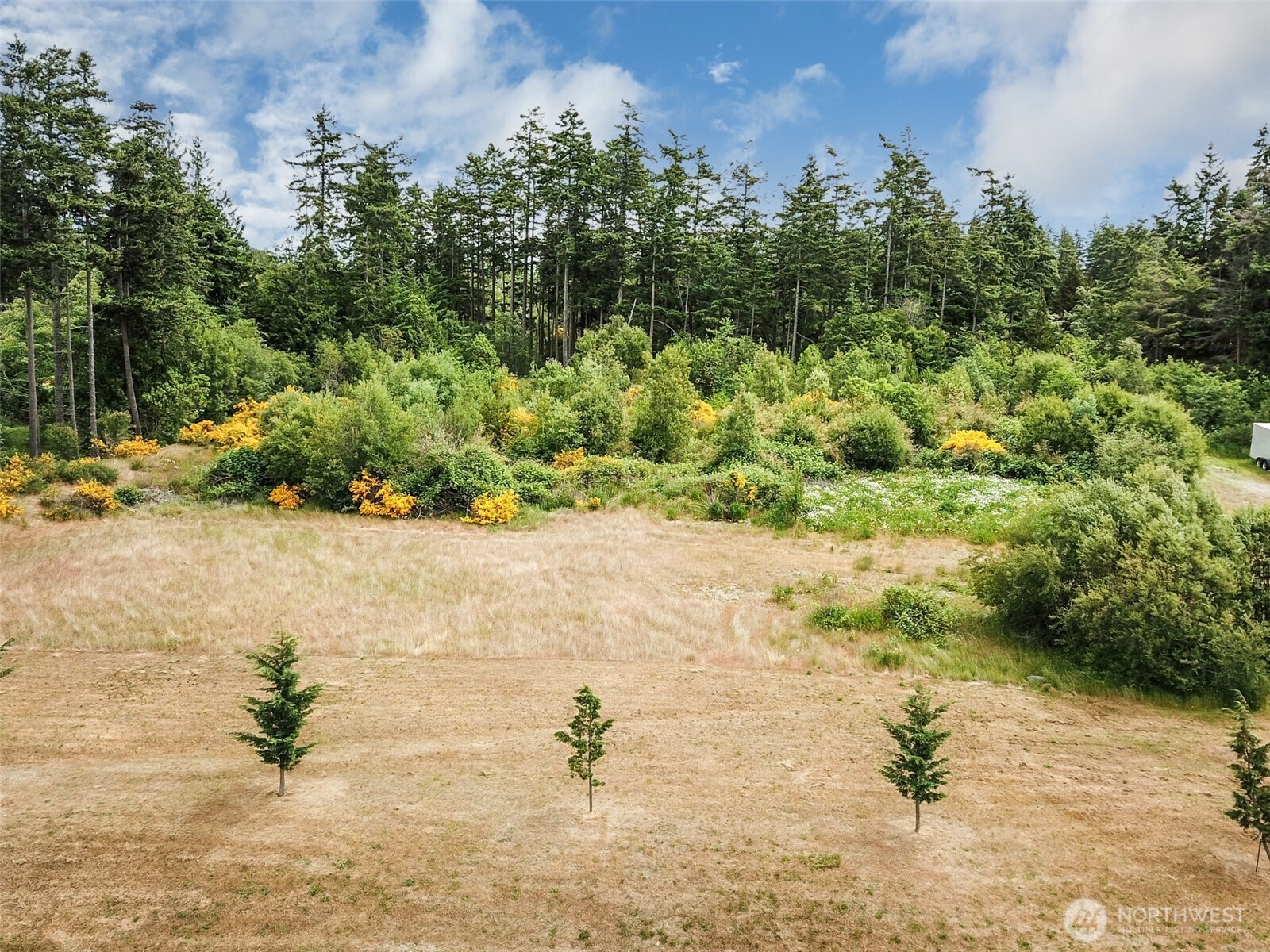 -xxx Goldie Road, Unit 2 Oak Harbor, WA 98277 - Photo 4 of 7