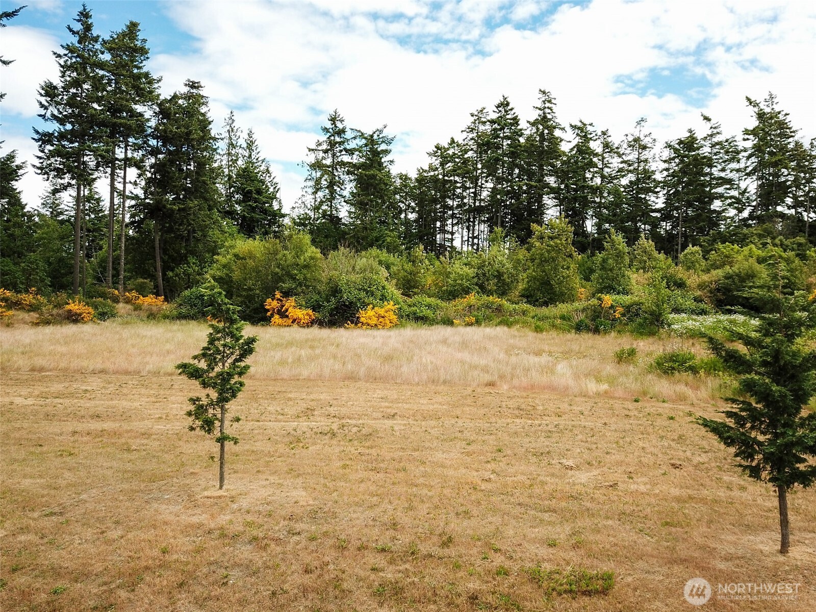 -xxx Goldie Road, Unit 2 Oak Harbor, WA 98277 - Photo 5 of 7