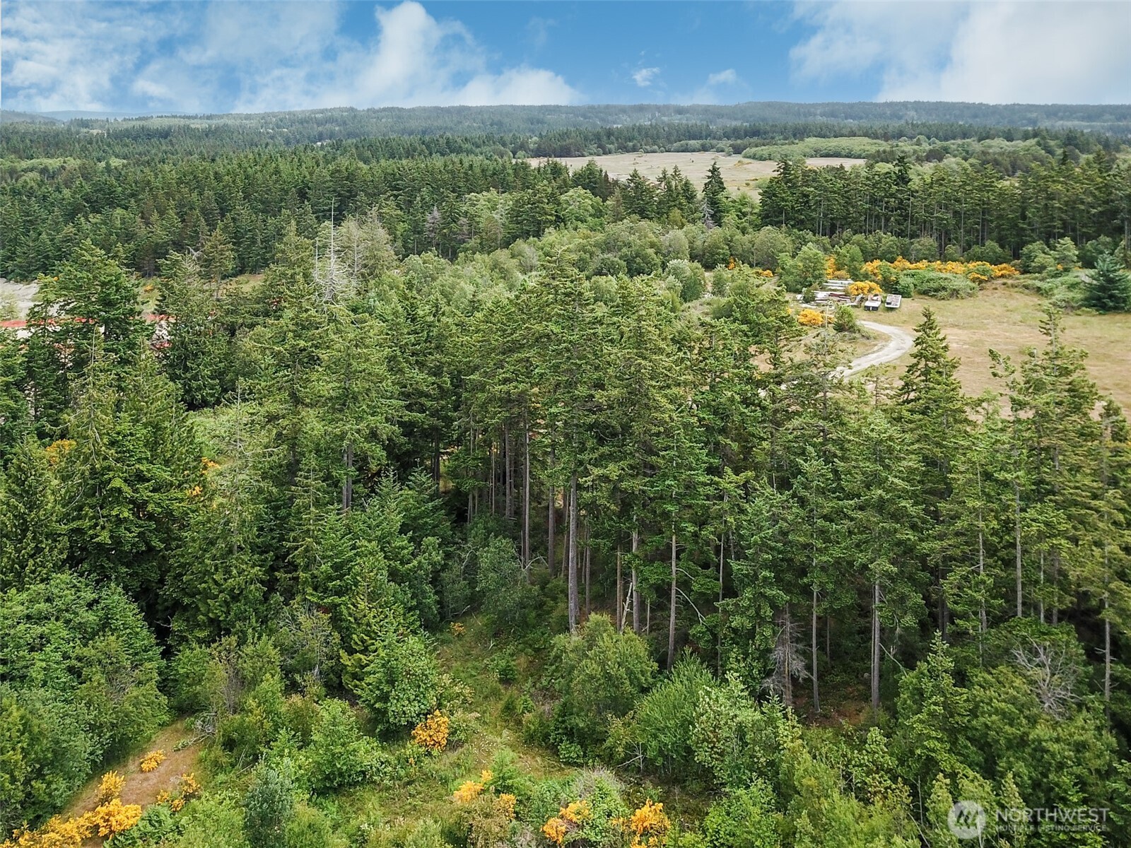 -xxx Goldie Road, Unit 2 Oak Harbor, WA 98277 - Photo 6 of 7