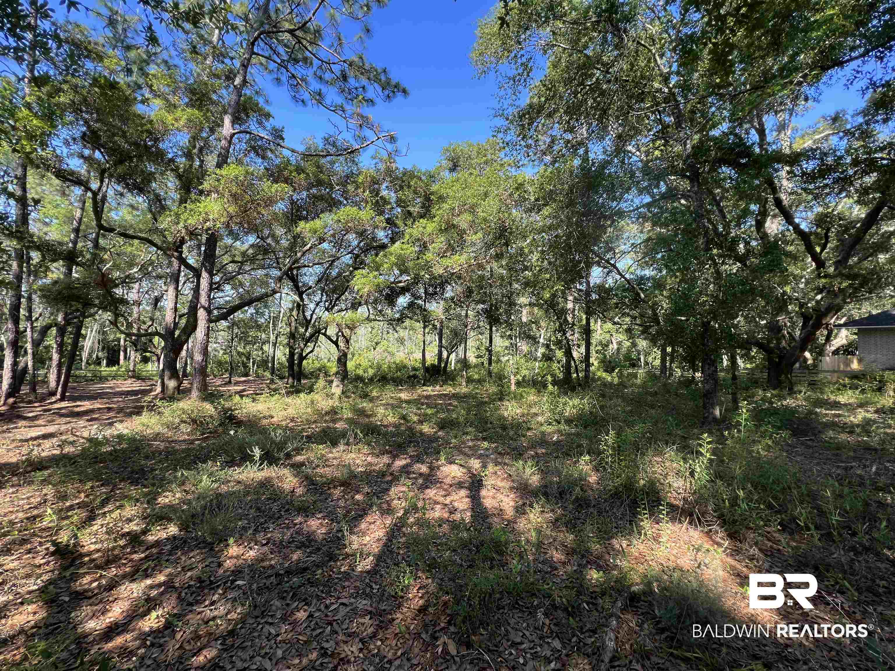 9545 North Bayou Road Lillian, AL 36549 - Photo 13 of 34 View of local wilderness