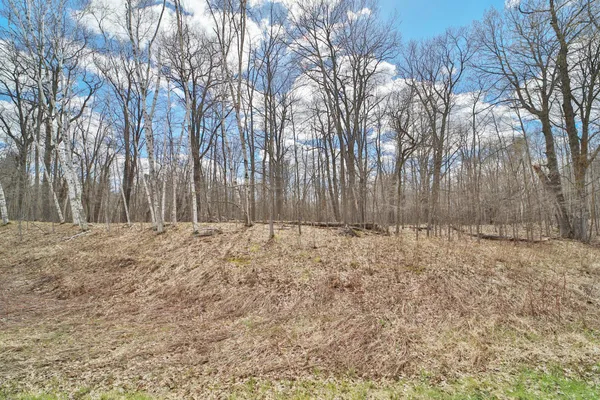 $79,900 | Tbd Pioneer Avenue, Aitkin, MN 56431