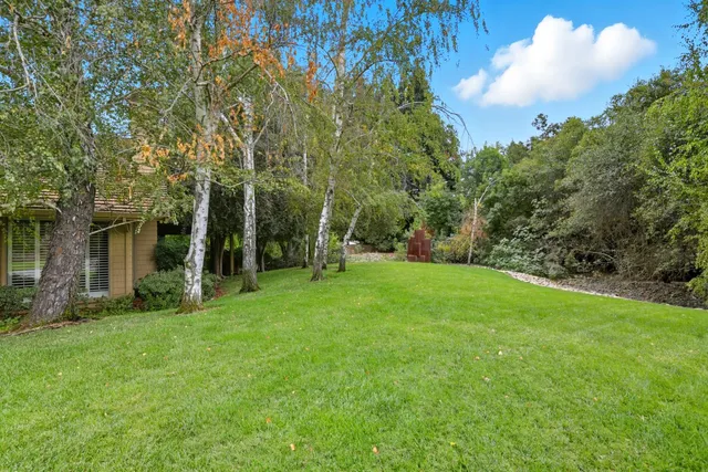 a view of a tree in front of a house
