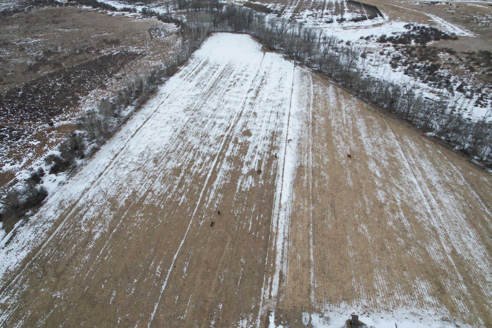 27417 County 89 Long Prairie, MN 56347 - Photo 18 of 73