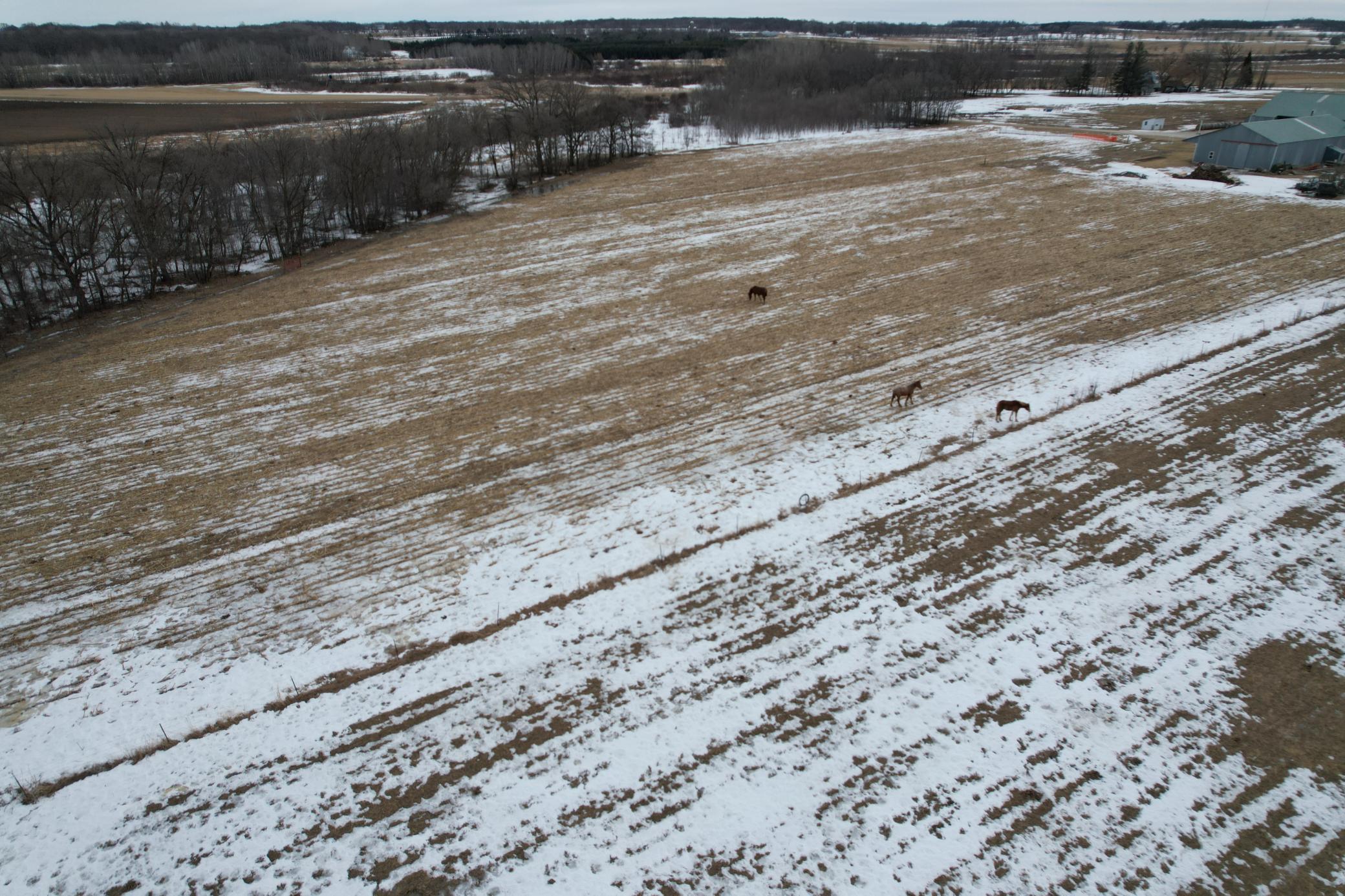 27417 County 89 Long Prairie, MN 56347 - Photo 22 of 73