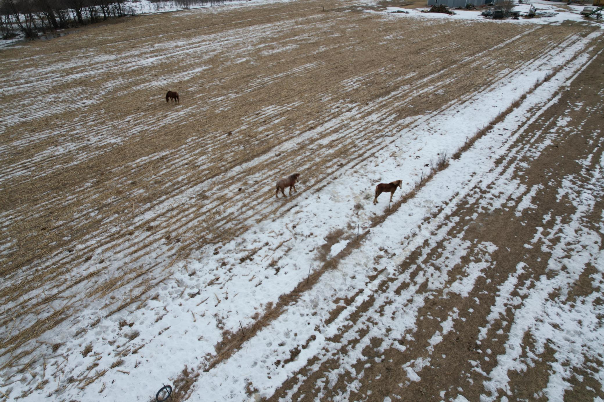 27417 County 89 Long Prairie, MN 56347 - Photo 23 of 73