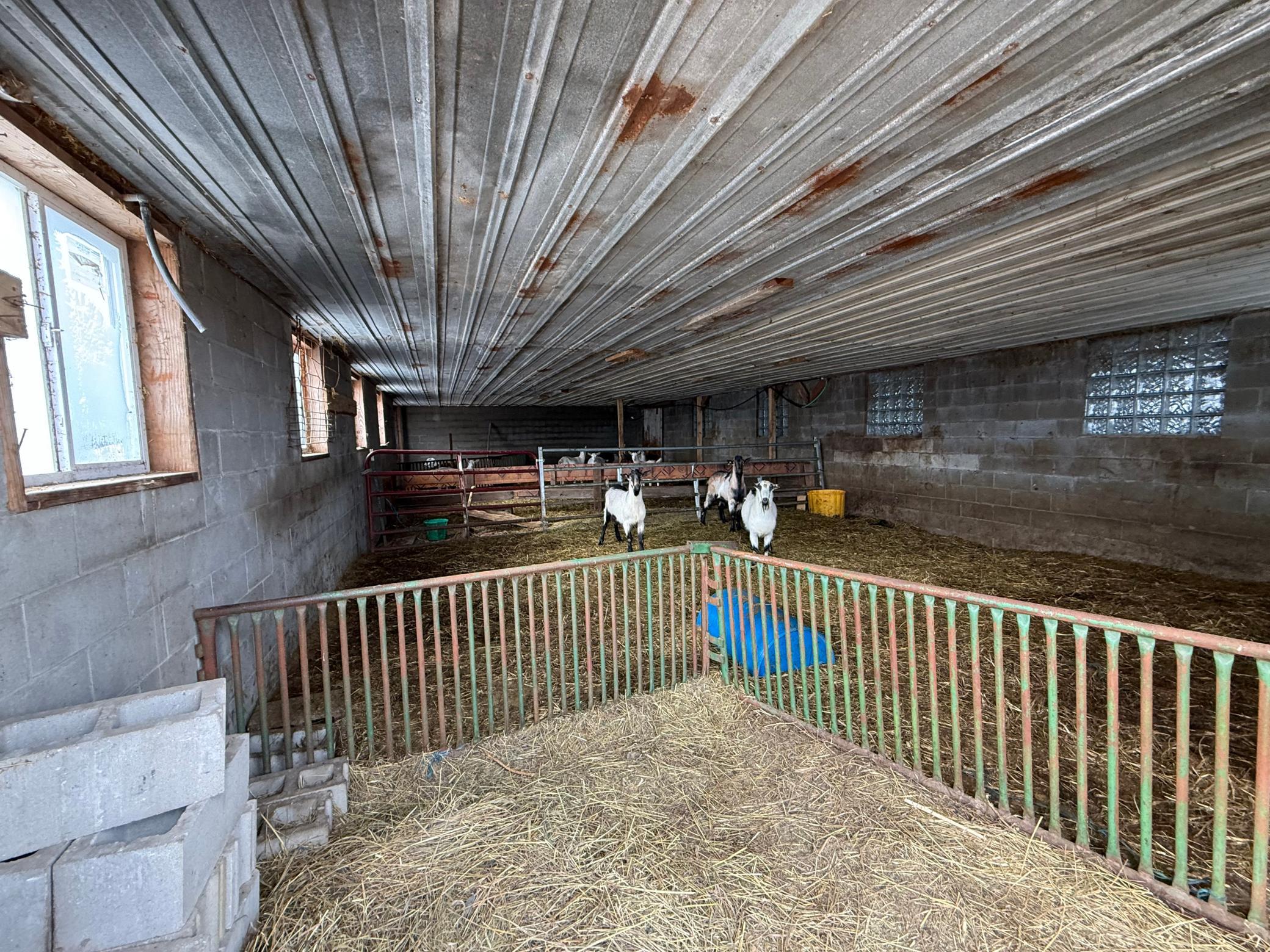 27417 County 89 Long Prairie, MN 56347 - Photo 46 of 73