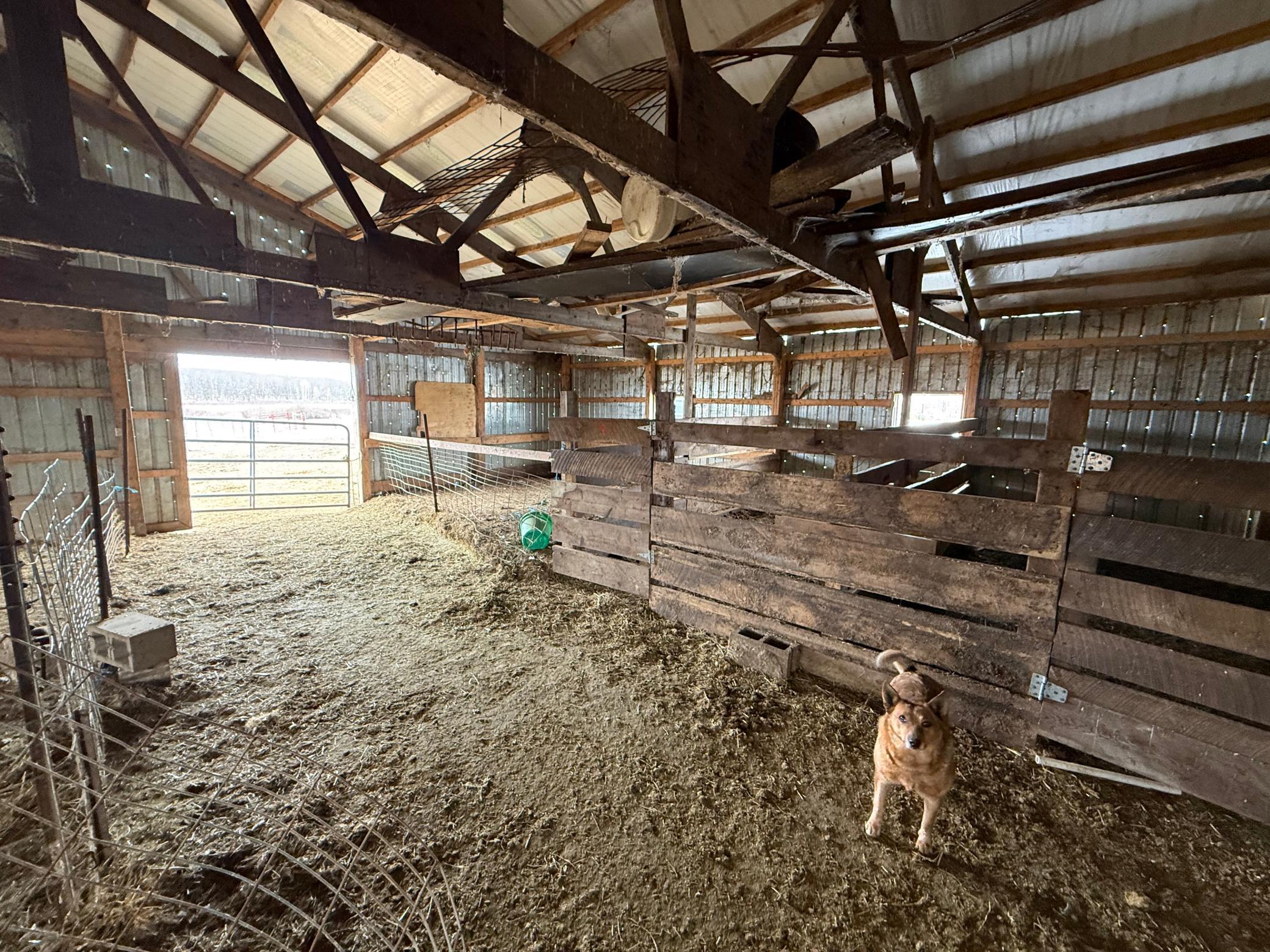 27417 County 89 Long Prairie, MN 56347 - Photo 49 of 73