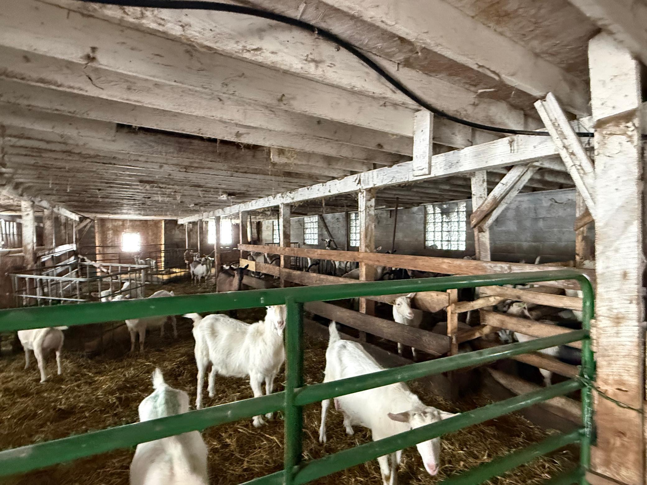 27417 County 89 Long Prairie, MN 56347 - Photo 54 of 73