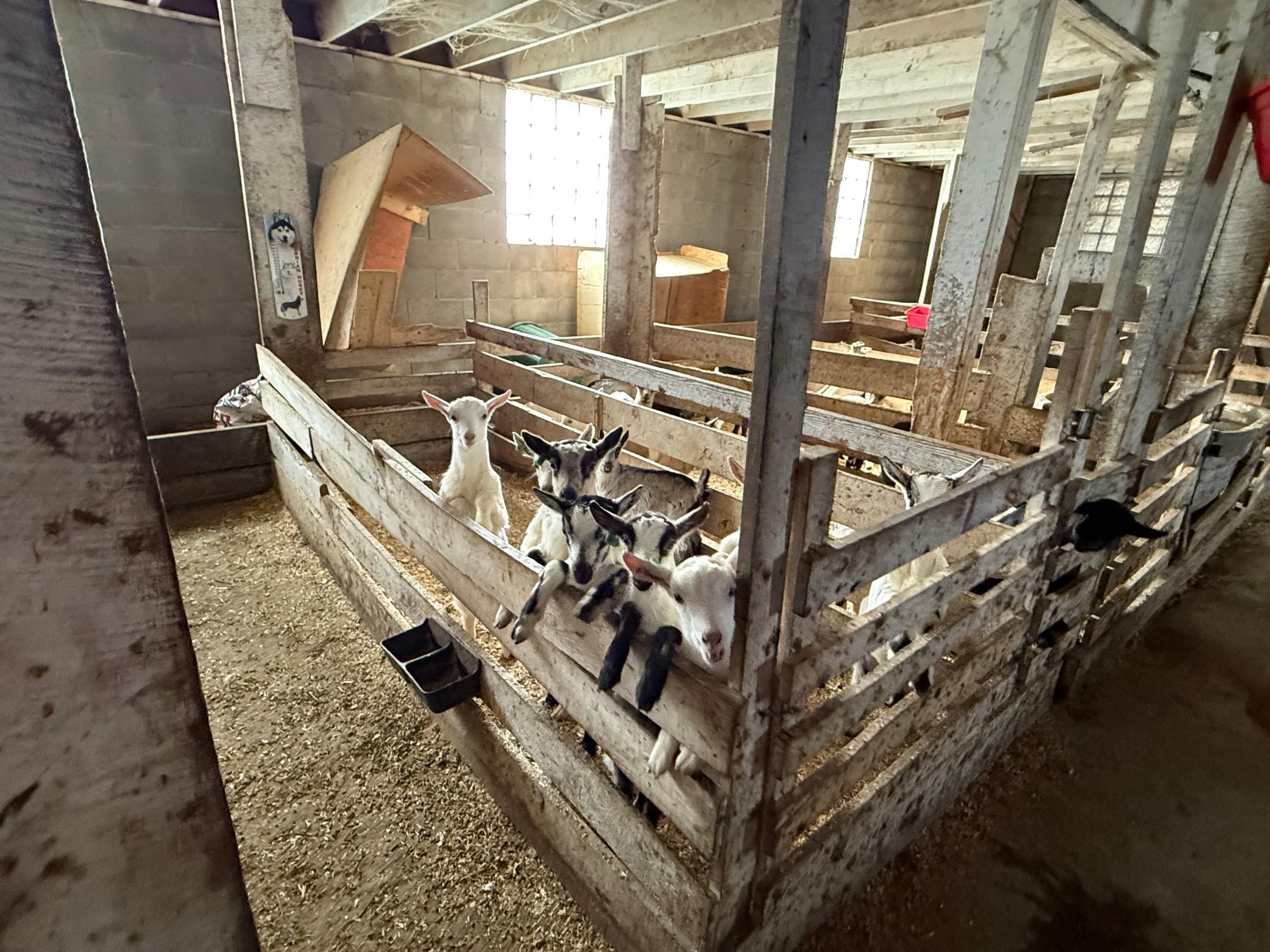 27417 County 89 Long Prairie, MN 56347 - Photo 55 of 73