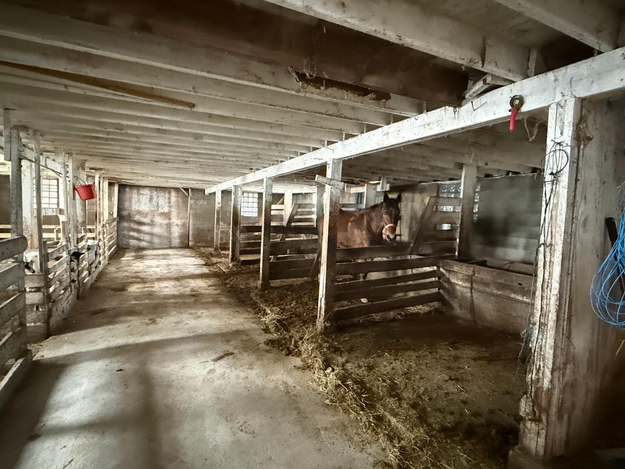 27417 County 89 Long Prairie, MN 56347 - Photo 56 of 73