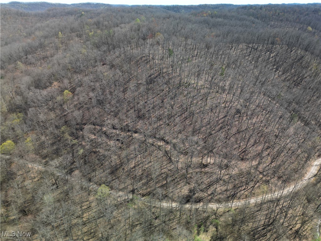 Rush Run Road Arnoldsburg, WV 25234 - Photo 8 of 11 Gallery Image 8