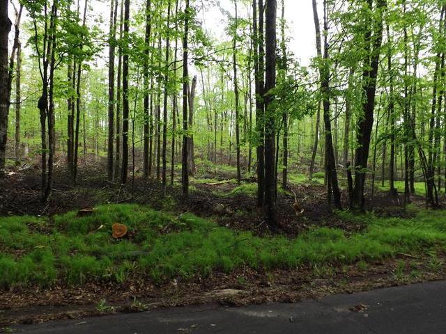 On East Anvil Lake Road, Unit LOT 6 Eagle River, WI 54521 - Photo 1 of 4 Gallery Image 1