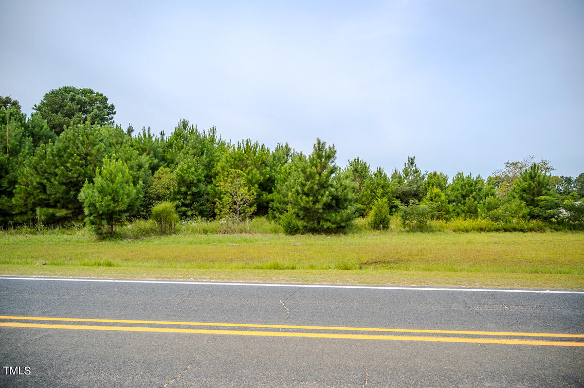 0 John Nunnery Road Stedman, NC 28391 - Photo 9 of 24 6ac - Watson - Cumberland Co. - DM (3)