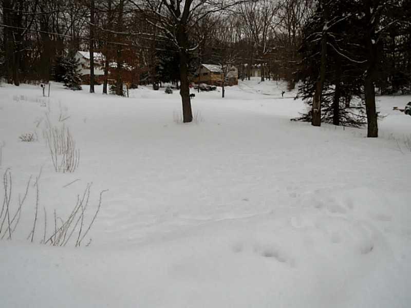 311 Parkhill Road Economy, PA 15005 - Photo 22 of 23 Yard/Garden.