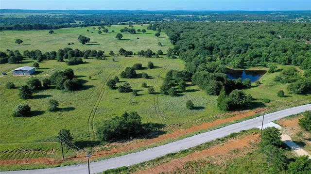 a view of a garden with a lake