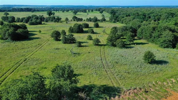 a view of a lush green space
