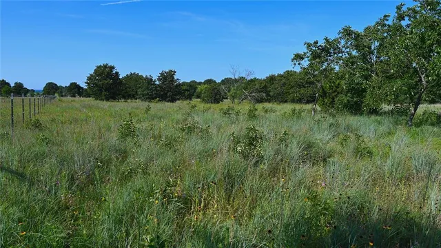 a view of a lush green space with sea