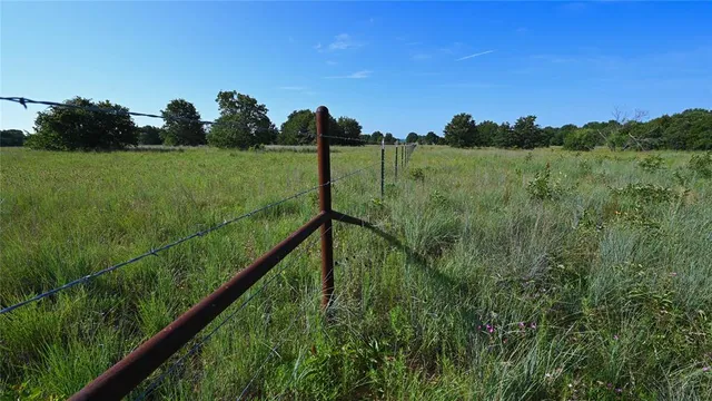 a view of a garden from a balcony