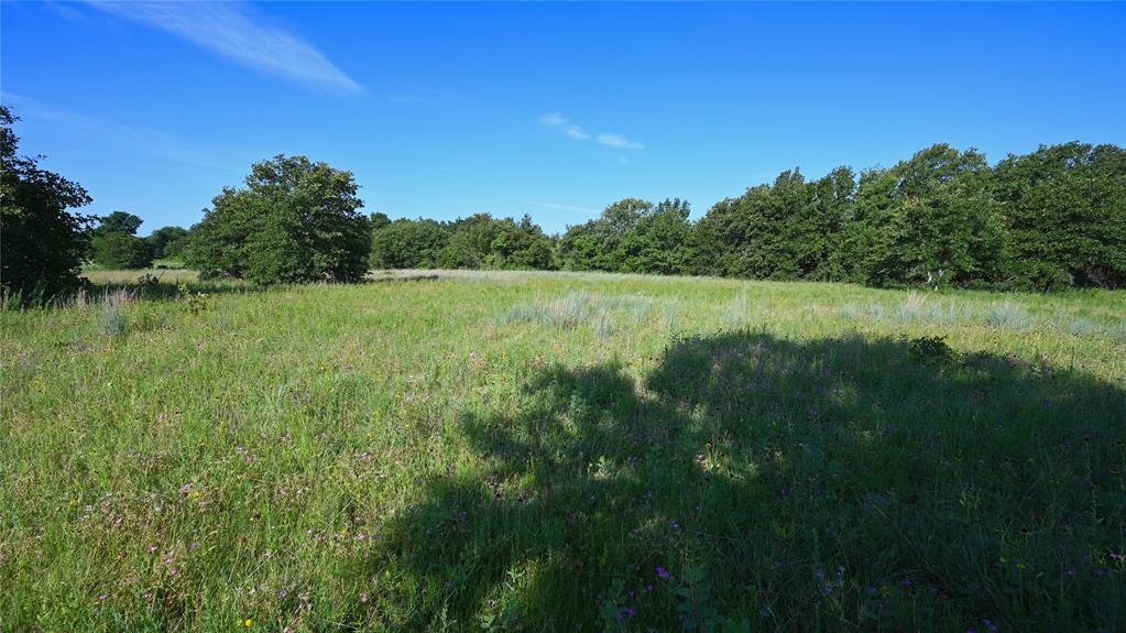 0 Ten Pt Road Nocona, TX 76255 - Photo 21 of 29