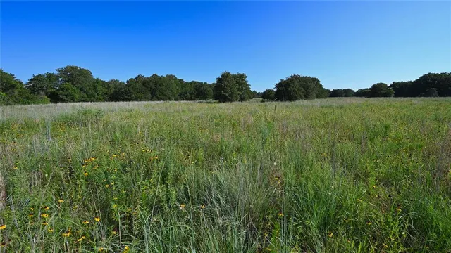 a view of a lake and green valley