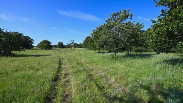 a view of a green field with lots of bushes