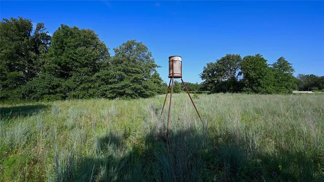 a view of a garden from a lake