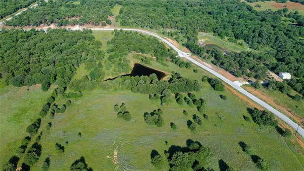 a view of a garden with a plant