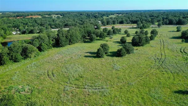 a view of a lush green forest with lots of trees